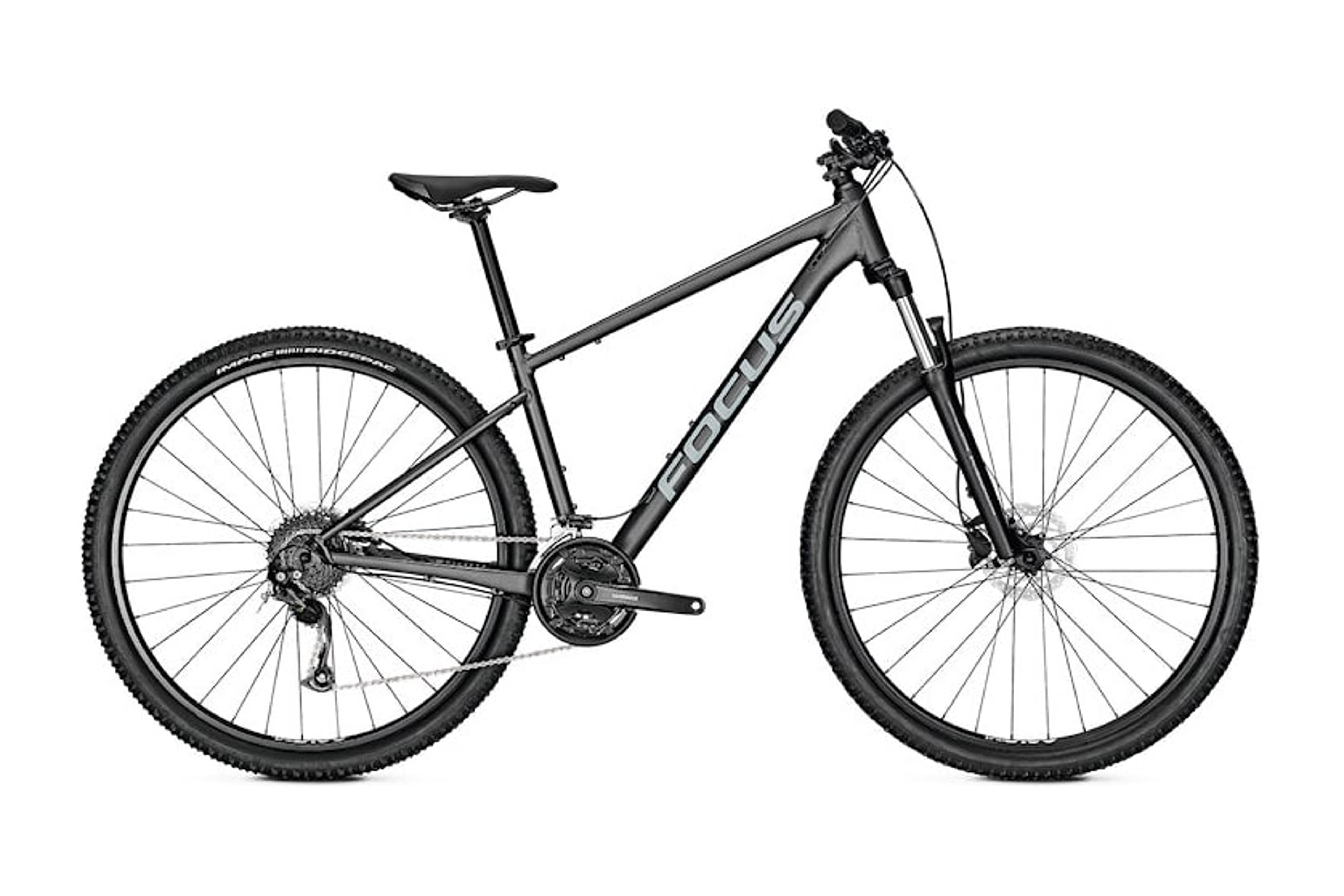 FOCUS Whistler 3.6 Hardtails (grau) 1